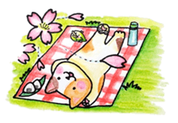 Cat and Bird of Brazil sticker #7849272