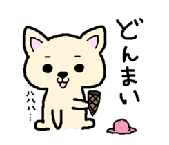 Japanese Chihuahua dog2 sticker #7849335