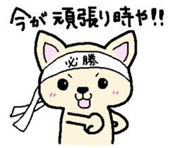 Japanese Chihuahua dog2 sticker #7849341