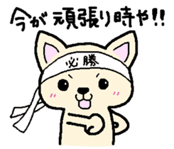 Japanese Chihuahua dog2 sticker #7849341