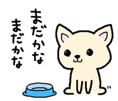 Japanese Chihuahua dog2 sticker #7849349