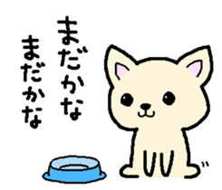 Japanese Chihuahua dog2 sticker #7849349