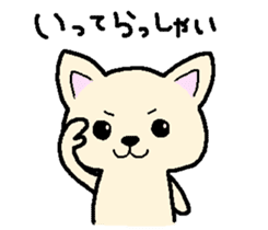 Japanese Chihuahua dog2 sticker #7849371