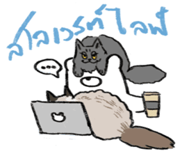 MepMhee : Keep Cats, Stay 'KAAN' sticker #7852176