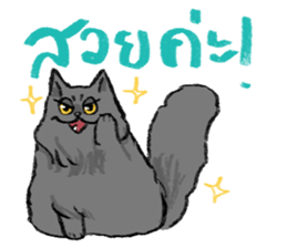 MepMhee : Keep Cats, Stay 'KAAN' sticker #7852204