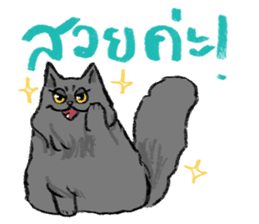 MepMhee : Keep Cats, Stay 'KAAN' sticker #7852204