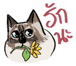 MepMhee : Keep Cats, Stay 'KAAN' sticker #7852206