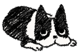 BOSTON TERRIER Life sticker #7852412