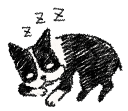 BOSTON TERRIER Life sticker #7852419