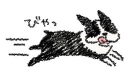 BOSTON TERRIER Life sticker #7852430