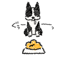 BOSTON TERRIER Life sticker #7852434