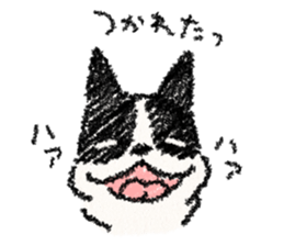 BOSTON TERRIER Life sticker #7852450