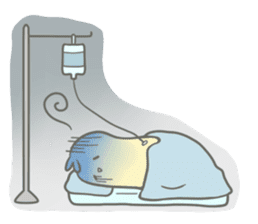 Mia and Piu (Portuguese) sticker #7853409