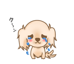 Pretty dachs dog sticker sticker #7856179