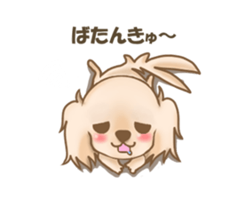 Pretty dachs dog sticker sticker #7856181