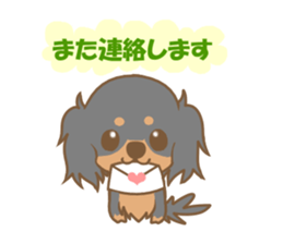 Pretty dachs dog sticker sticker #7856185