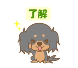 Pretty dachs dog sticker sticker #7856187