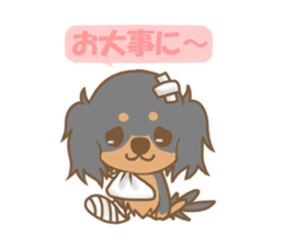 Pretty dachs dog sticker sticker #7856188