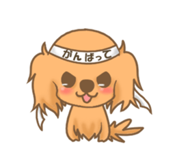 Pretty dachs dog sticker sticker #7856194