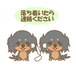 Pretty dachs dog sticker sticker #7856203