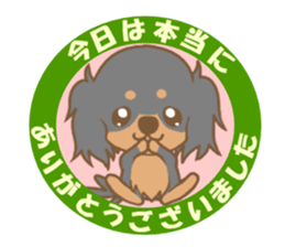 Pretty dachs dog sticker sticker #7856208