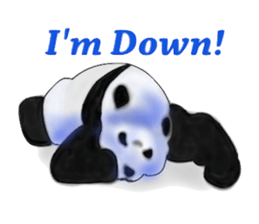 Angry Smart Panda sticker #7856265