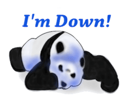 Angry Smart Panda sticker #7856265