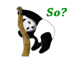 Angry Smart Panda sticker #7856286