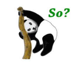 Angry Smart Panda sticker #7856286