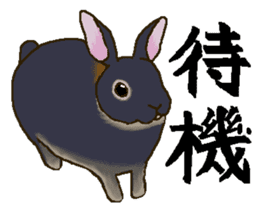mofumofu rabbits 2 sticker #7856766