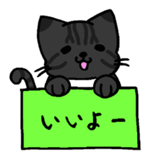 HAKOIRI KITTIES sticker #7859494