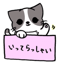 HAKOIRI KITTIES sticker #7859497