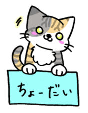 HAKOIRI KITTIES sticker #7859511