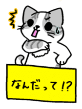 HAKOIRI KITTIES sticker #7859515