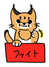 HAKOIRI KITTIES sticker #7859521