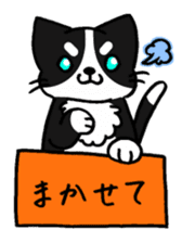 HAKOIRI KITTIES sticker #7859524