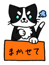 HAKOIRI KITTIES sticker #7859524