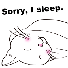 Pose of cat that you also know(English)