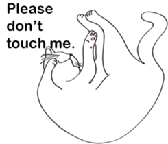 Pose of cat that you also know(English) sticker #7861415