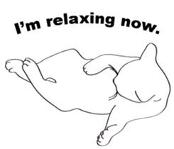 Pose of cat that you also know(English) sticker #7861421