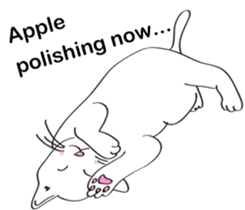 Pose of cat that you also know(English) sticker #7861423