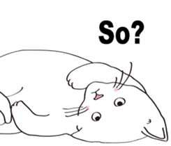 Pose of cat that you also know(English) sticker #7861431