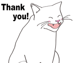 Pose of cat that you also know(English) sticker #7861437