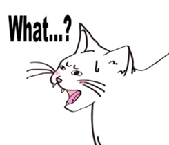 Pose of cat that you also know(English) sticker #7861445