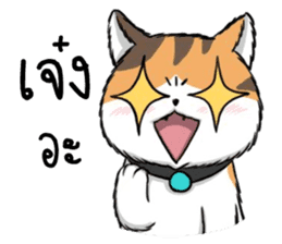 Soidow2(thai) sticker #7863214