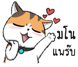 Soidow2(thai) sticker #7863230