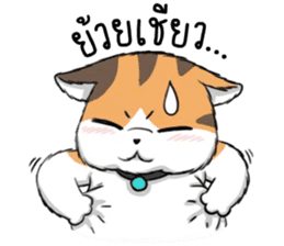 Soidow2(thai) sticker #7863233