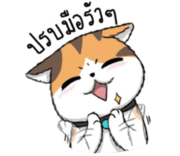 Soidow2(thai) sticker #7863236
