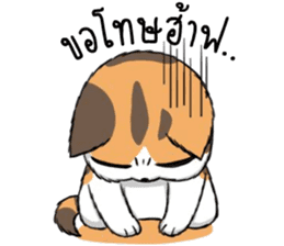 Soidow2(thai) sticker #7863247