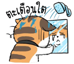 Soidow2(thai) sticker #7863249
